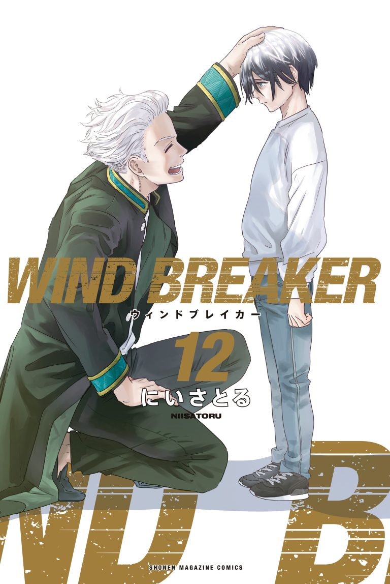 Wind Breaker (NII Satoru)